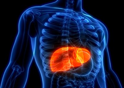 28 de Julio: Día Mundial de la Hepatitis