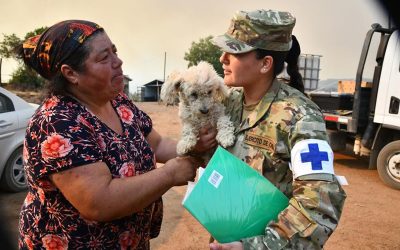 Atenciones del Servicio de Veterinaria en apoyo a los animales afectados por incendios