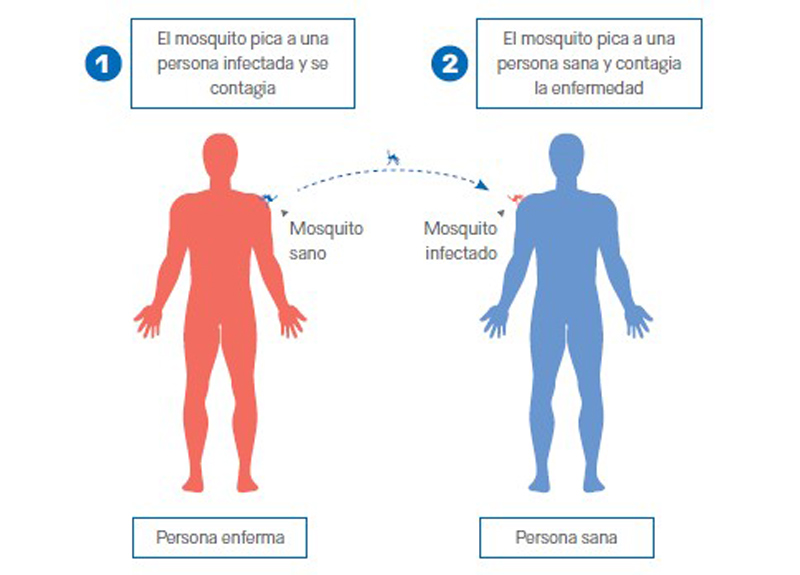 transmisión