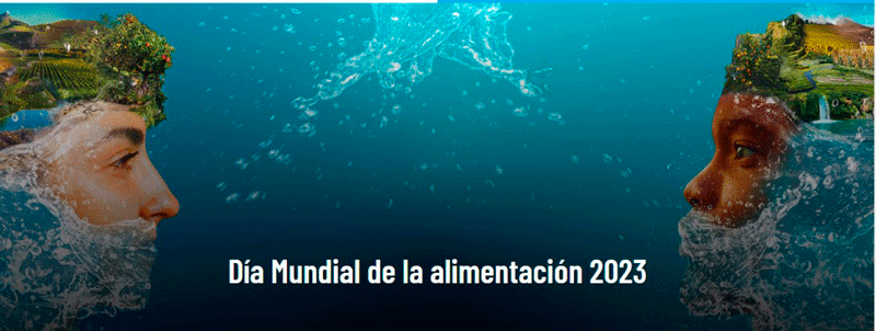 DIA-MUNDIAL-ALIMENTACIONWEB