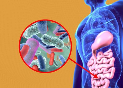 ¿Qué es la Microbiota intestinal?