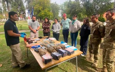 Personal de la EMA “Talca” participa en curso de entrenamiento PHTLS