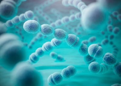 ¿Qué es el Estreptococos pyogenes grupo A ?