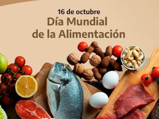 Día Mundial de la Alimentación 2025 “Abogando por soluciones sostenibles”