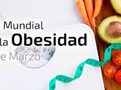 Día mundial de la obesidad