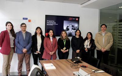 DIVSAL fortalece vínculos con Metro de Santiago para impulsar buenas prácticas en salud mental y prevención del suicidio