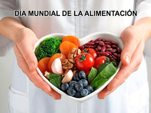 Día Mundial de la Alimentación  “Innovar hoy para nutrir mañana”